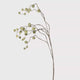 Pom Pom Willow Spray
