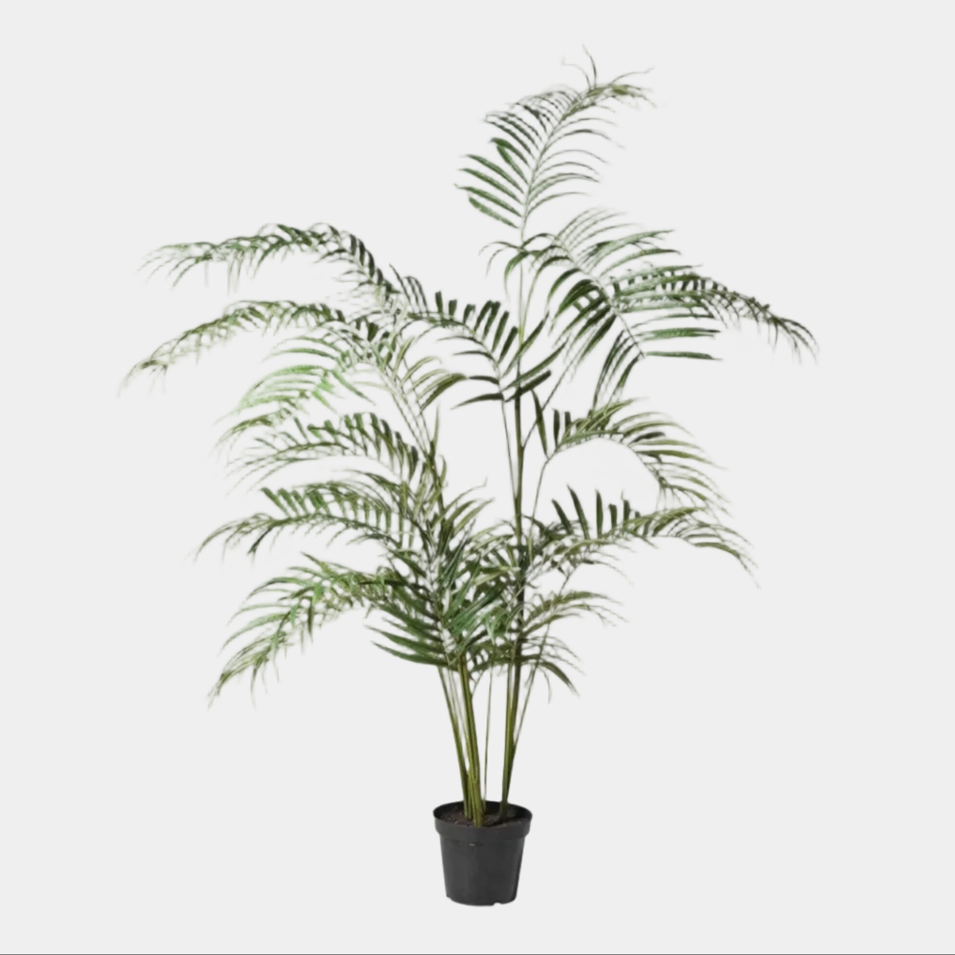 Artificial Plant - Potted Palm Tree, Small