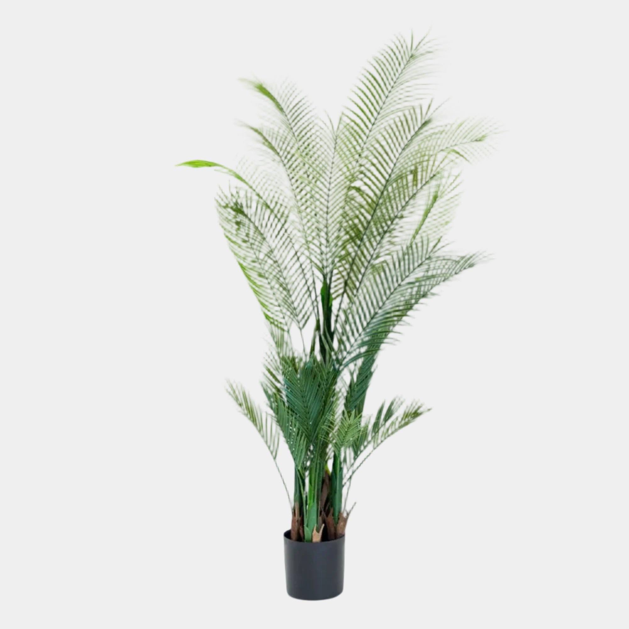 artificial potted plants uk Artificial Plant - Potted Palm Tree, Large
