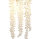 Flora Wall Light Polished Nickel/Clear Crystal