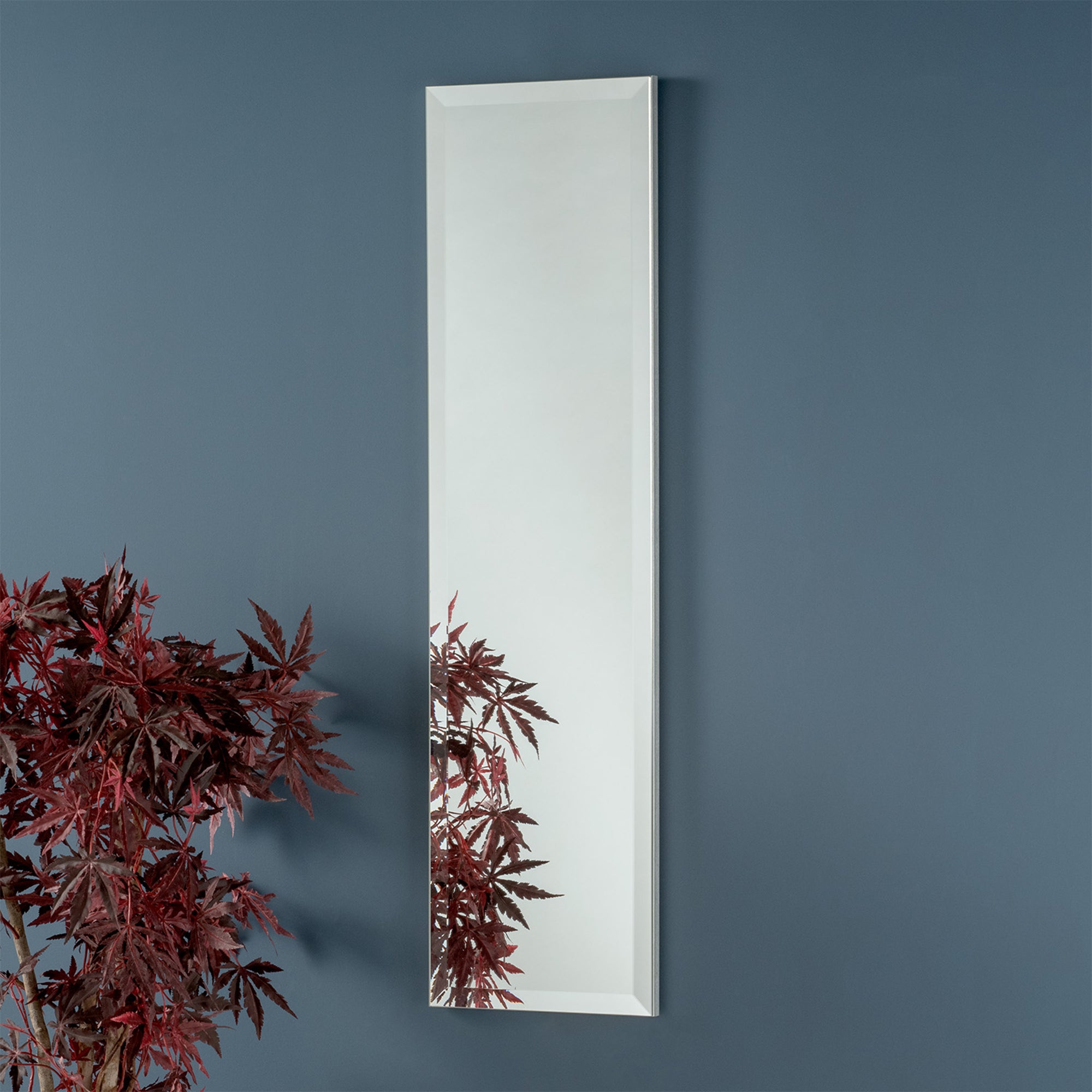 Biagio Mirror Panel Silver 114x31 (PS)