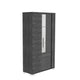2 Door Vitirine With Light In Grey Birch