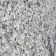 Tonal Tree Canvas