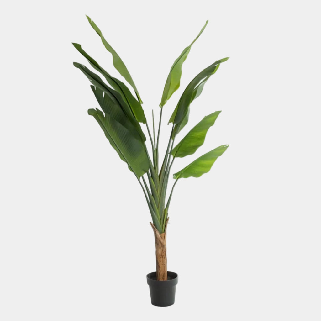 Artificial Strella Strelitzia Tree Large Statement Faux Tropical Plant