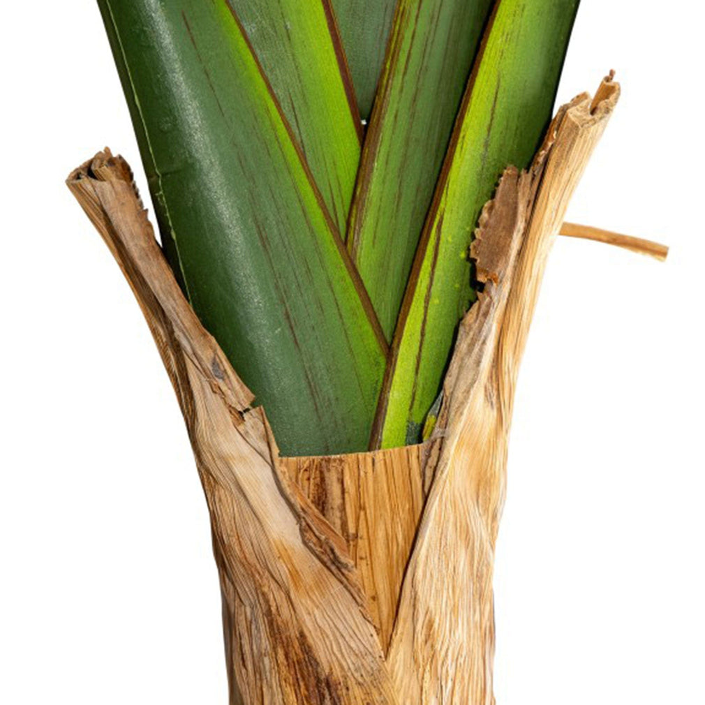 Strella - Extra Large Strelitzia Tree