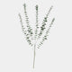 Autumn Eucalyptus - Spray