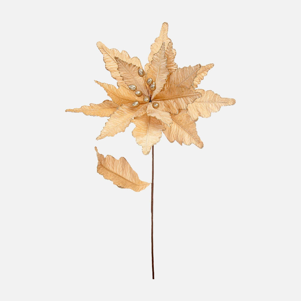 Velvet Poinsettia - Champagne Gold Stem