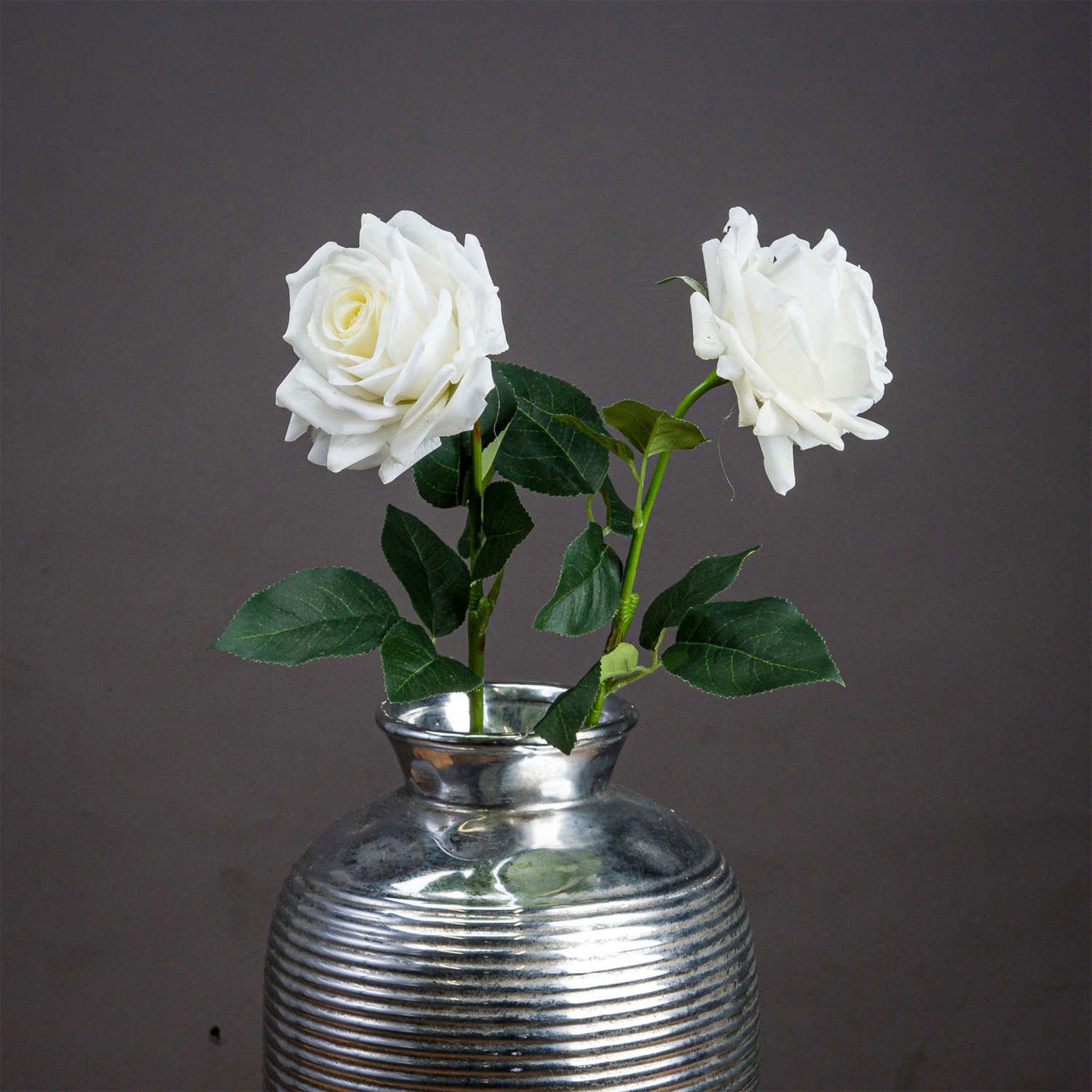 Large White Garden Rose Stem (BO)