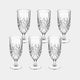 Tipperary Belvedere - Set of 6 Water Glass