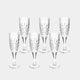 Tipperary Belvedere - Set of 6 Flute Glasses