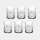 Tipperary Belvedere - Set of 6 Tumbler Glasses