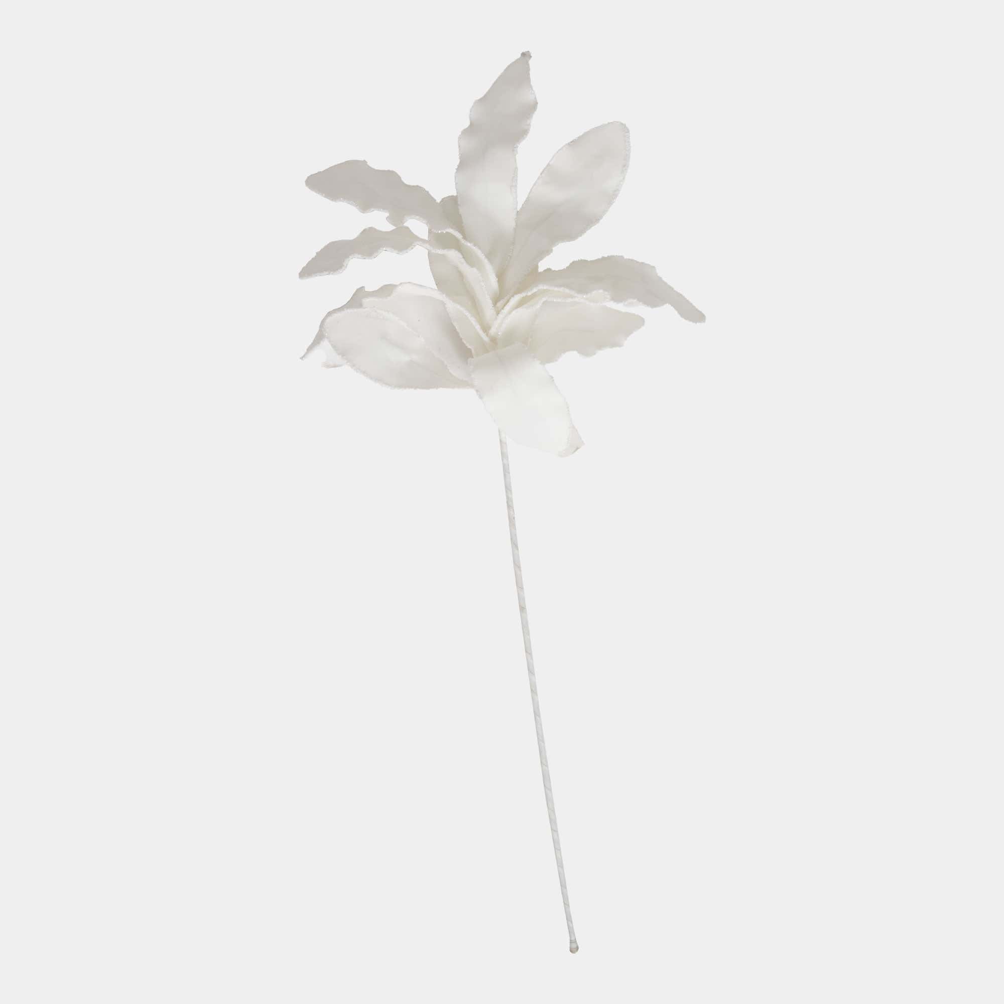Luna - White Stem