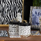 Looking Wild - Set of 4 Placemats