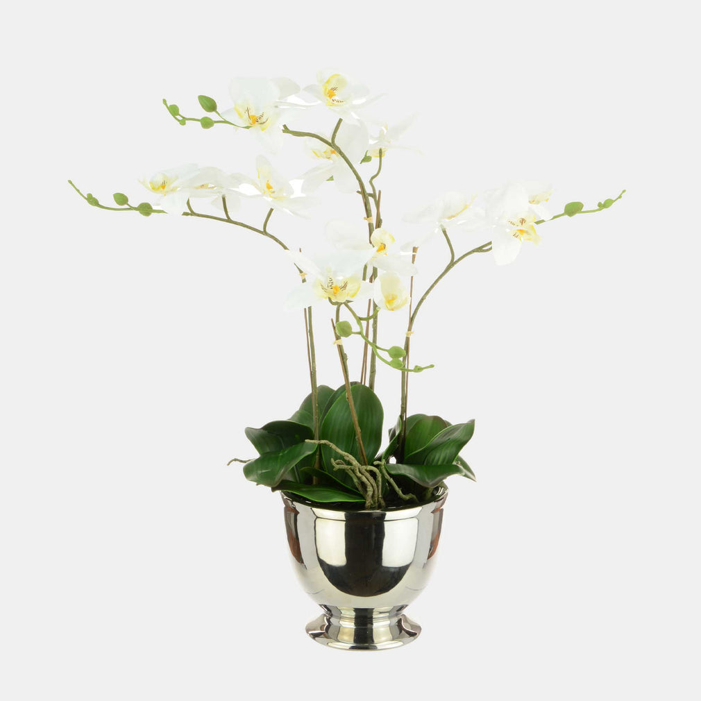 Artificial White Phalaenopsis Orchid in Silver Pot - Luxury Faux Orchid Display