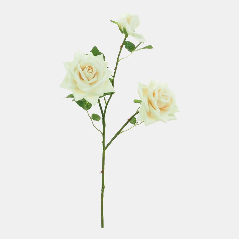 Rose - Ivory Spray