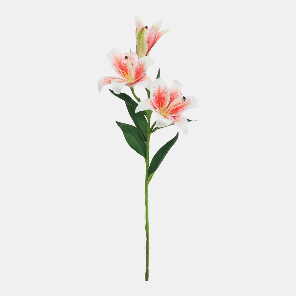 Asiatic Pink - Lily Spray