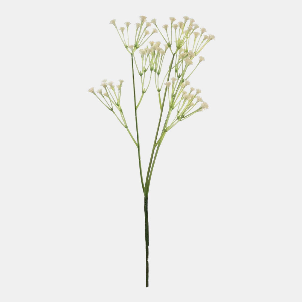 Open Gypsophilia - Spray