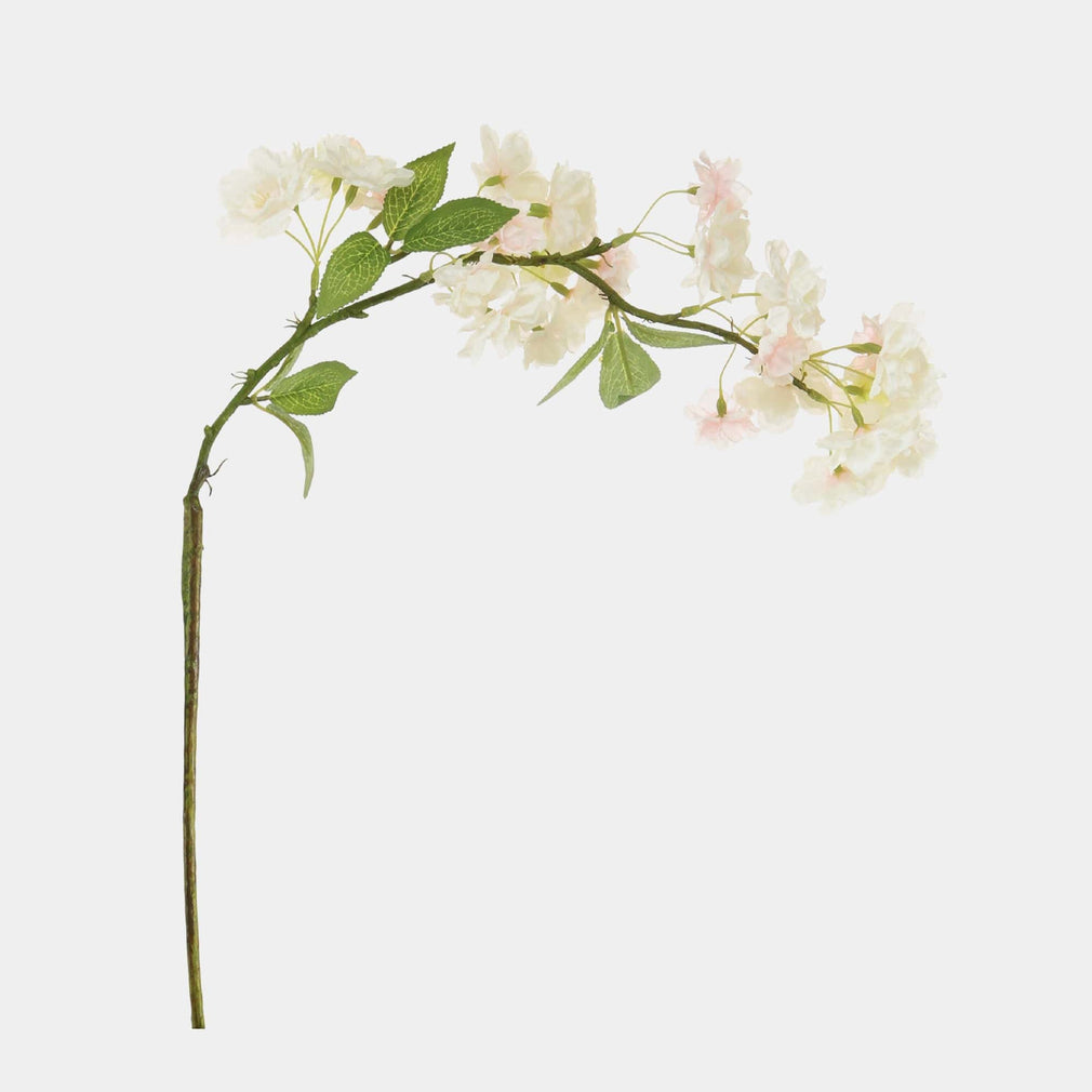 Cherry Blossom - Blush Spray