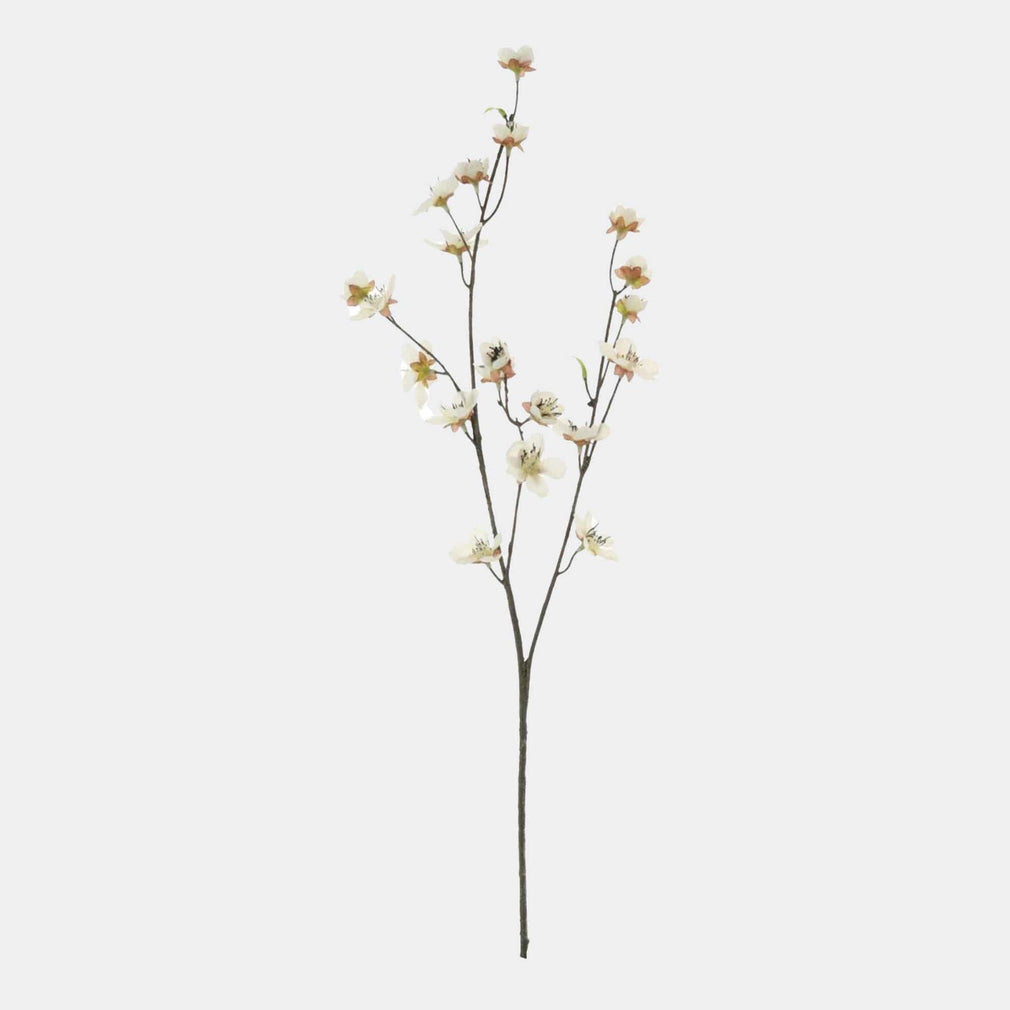 Japanese Cherry Blossom - Cream Spray