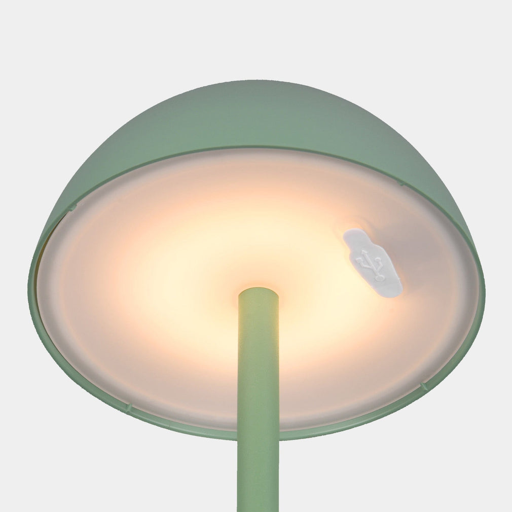 Richie - Green USB Lamp