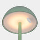 Richie - Green USB Lamp