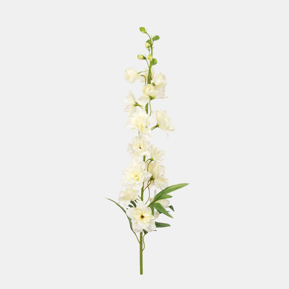 Delphinium - White Spray