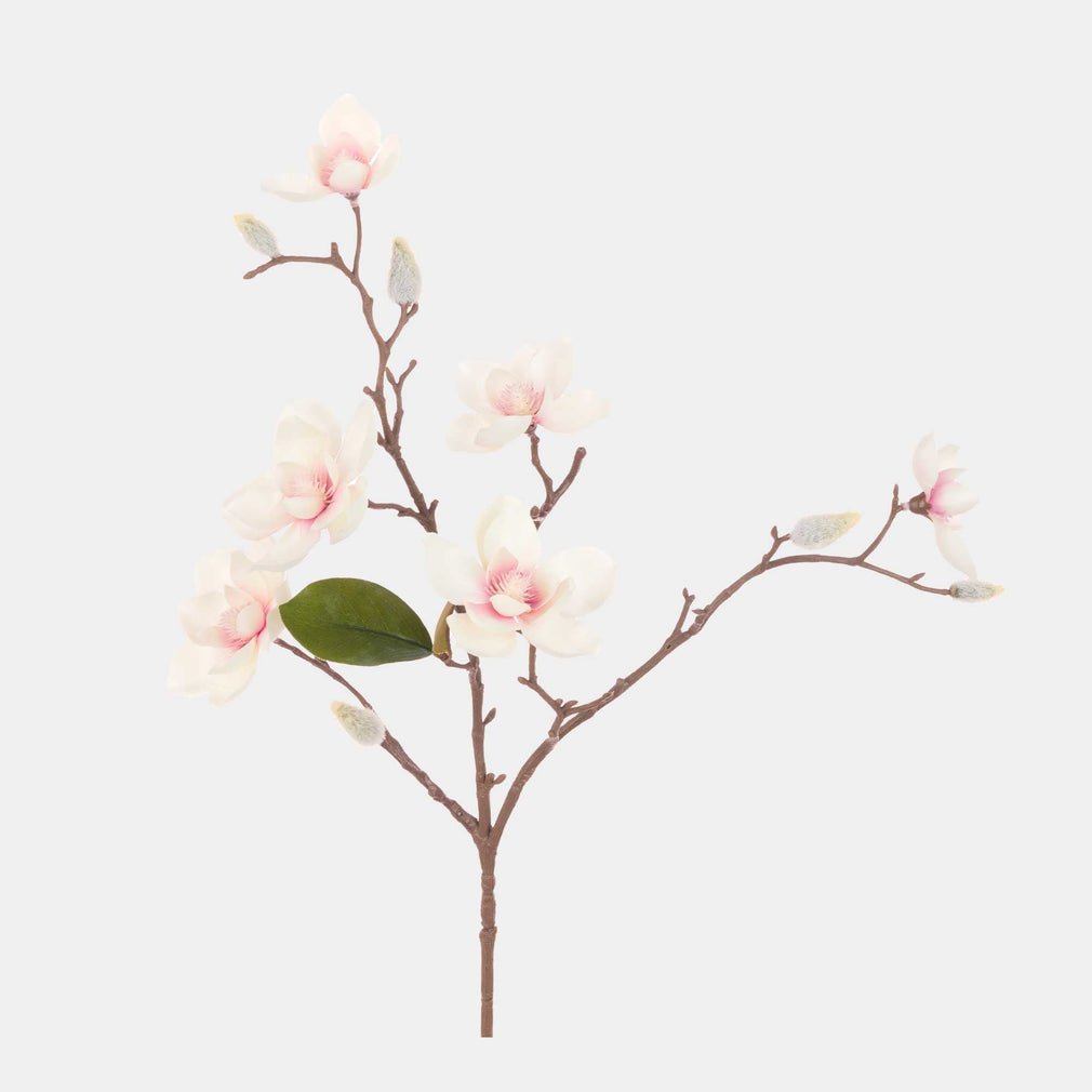 Magnolia - Spray
