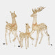 Starbright - Fawn
