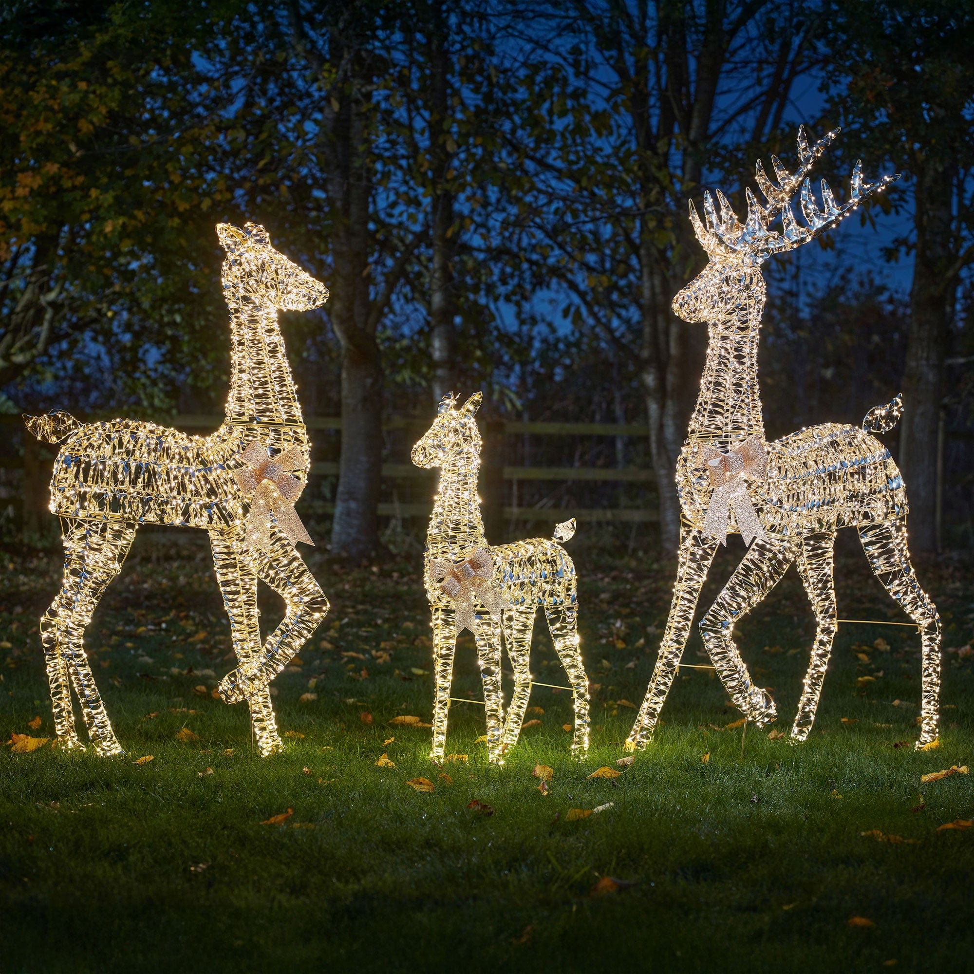 Starbright Doe 135cm (WG)