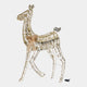 Starbright Doe 135cm (WG)