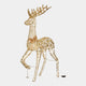 Starbright - Stag