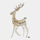 Starbright Stag 152cm (WG)
