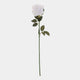Artificial Plant - Sparkling Rose, White