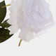 Artificial Plant - Sparkling Rose, White