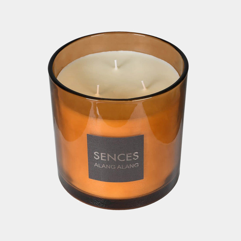 Sences - Amber 3 Wick Candle