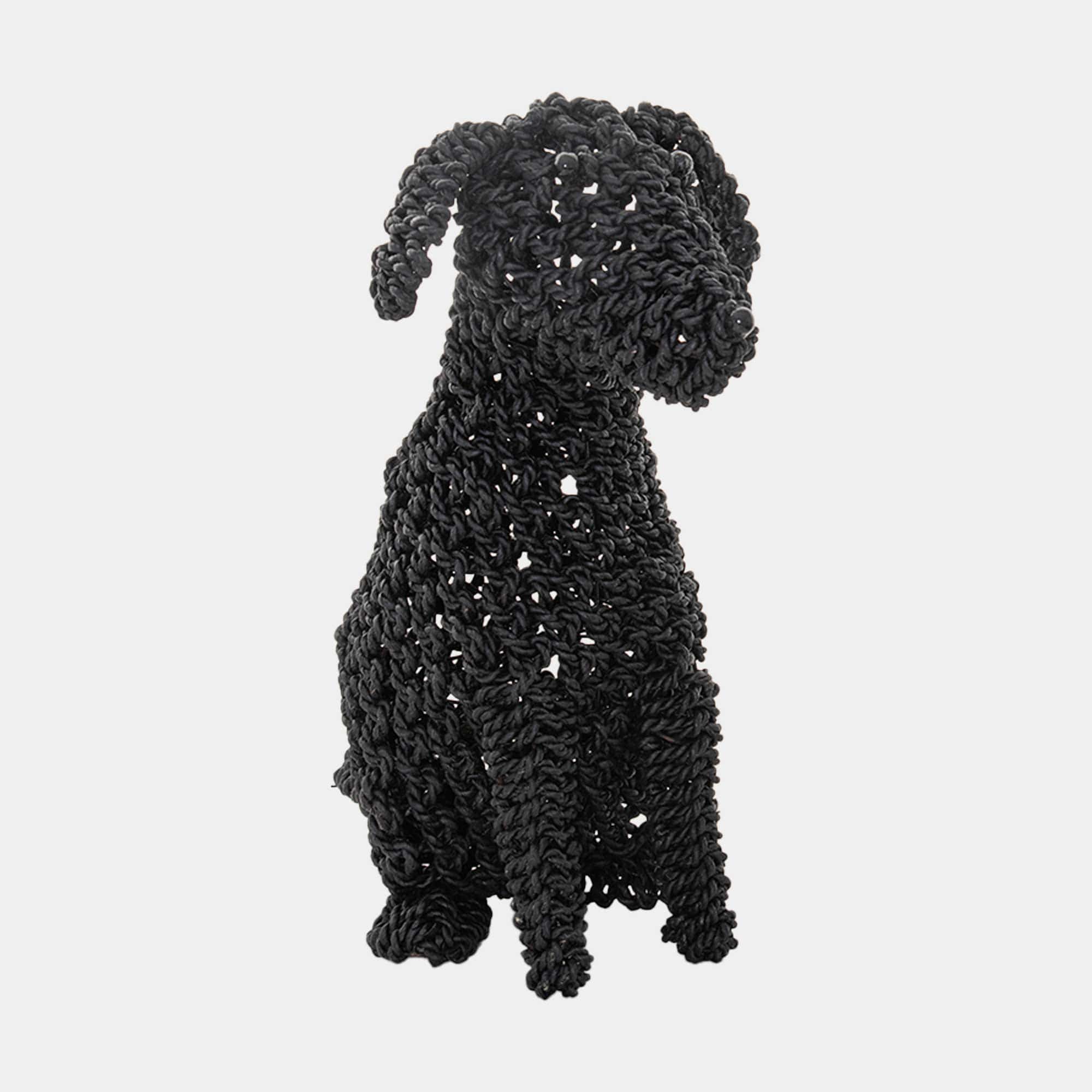 Cocoa - Seagrass Dog
