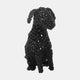 Cocoa - Seagrass Dog