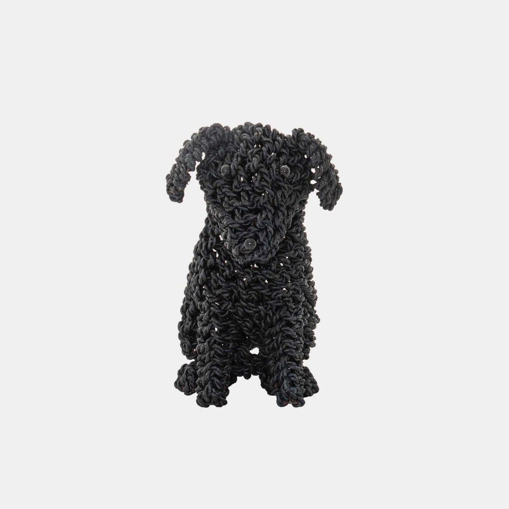 Cocoa - Seagrass Puppy