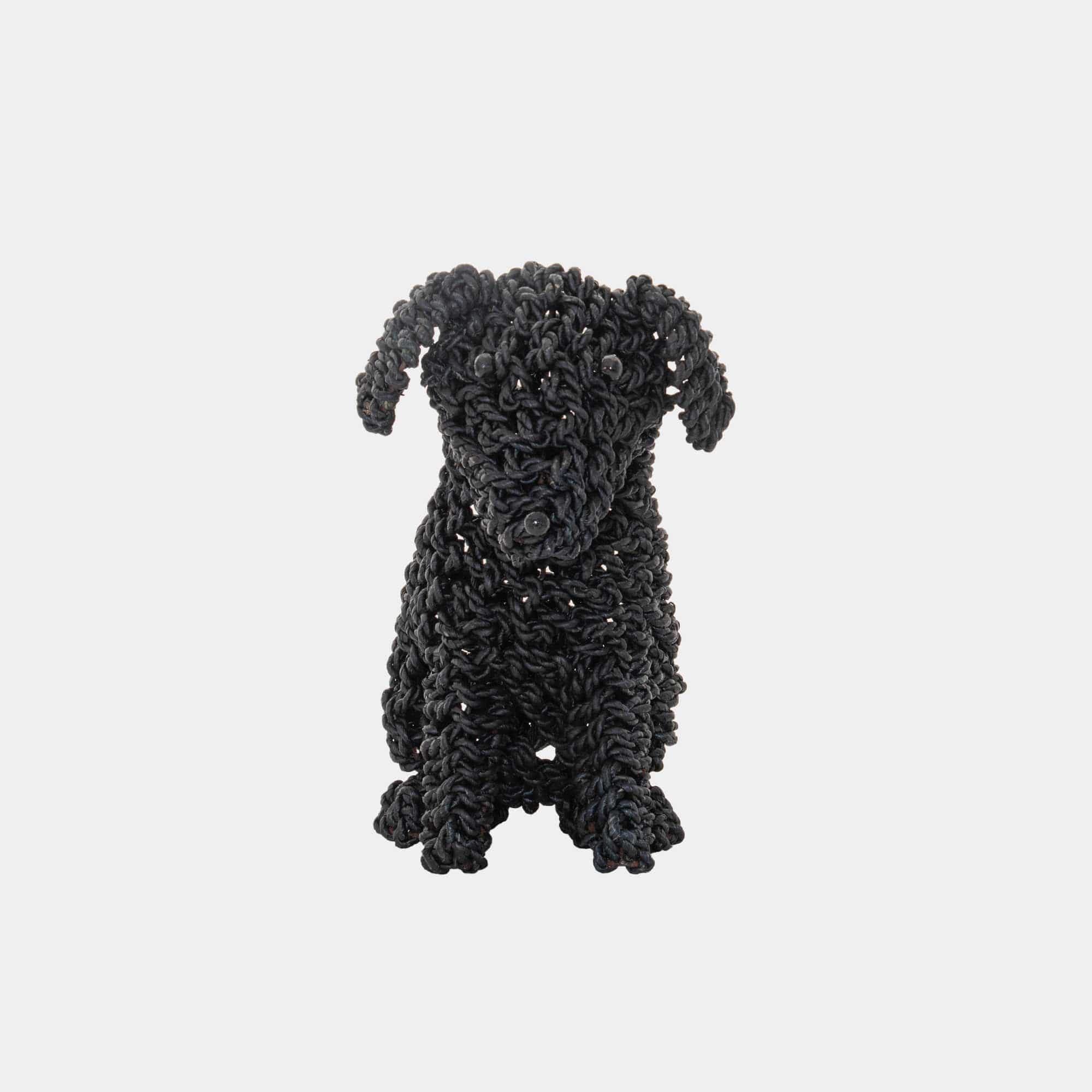 Cocoa - Seagrass Puppy
