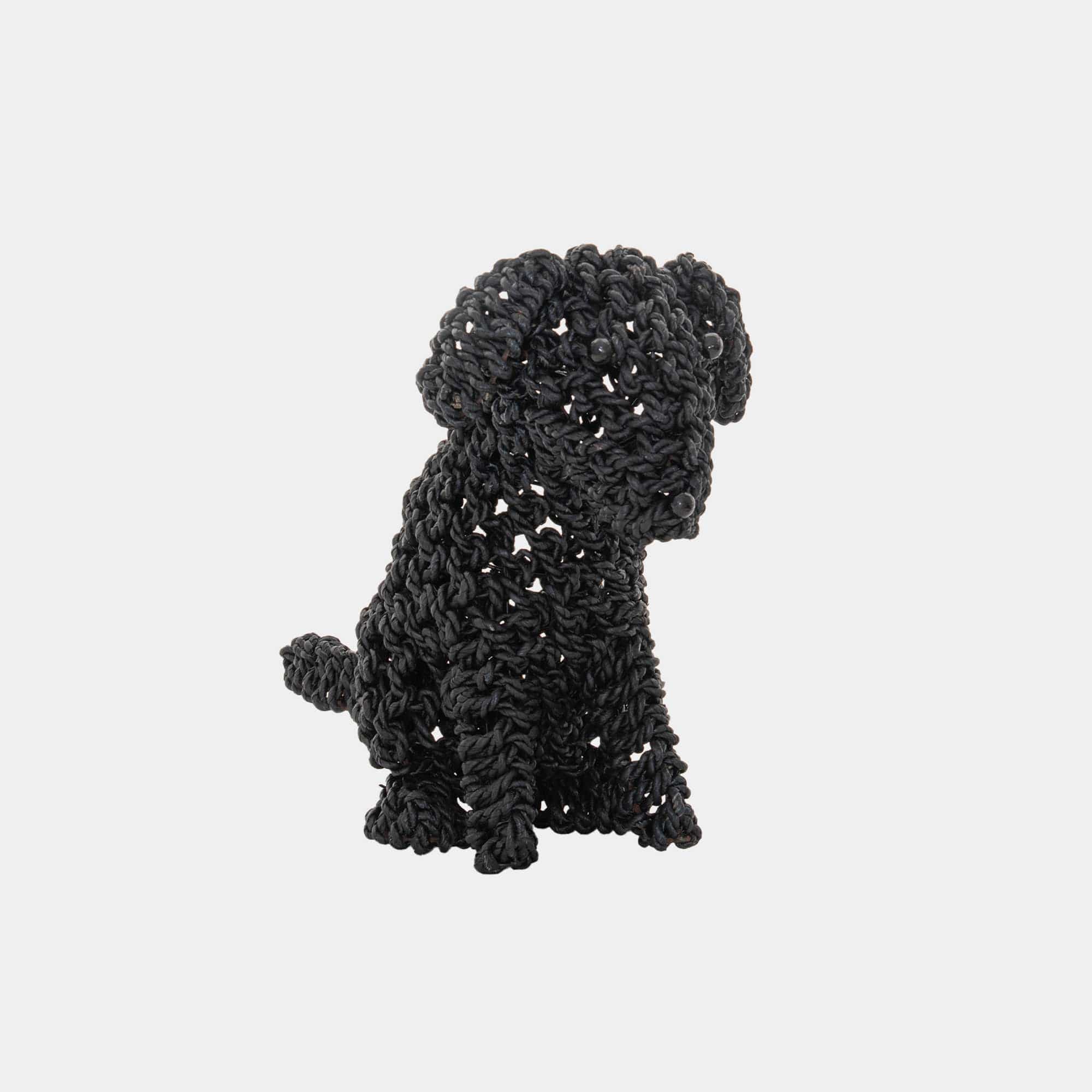 Cocoa - Seagrass Puppy
