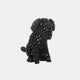 Cocoa - Seagrass Puppy
