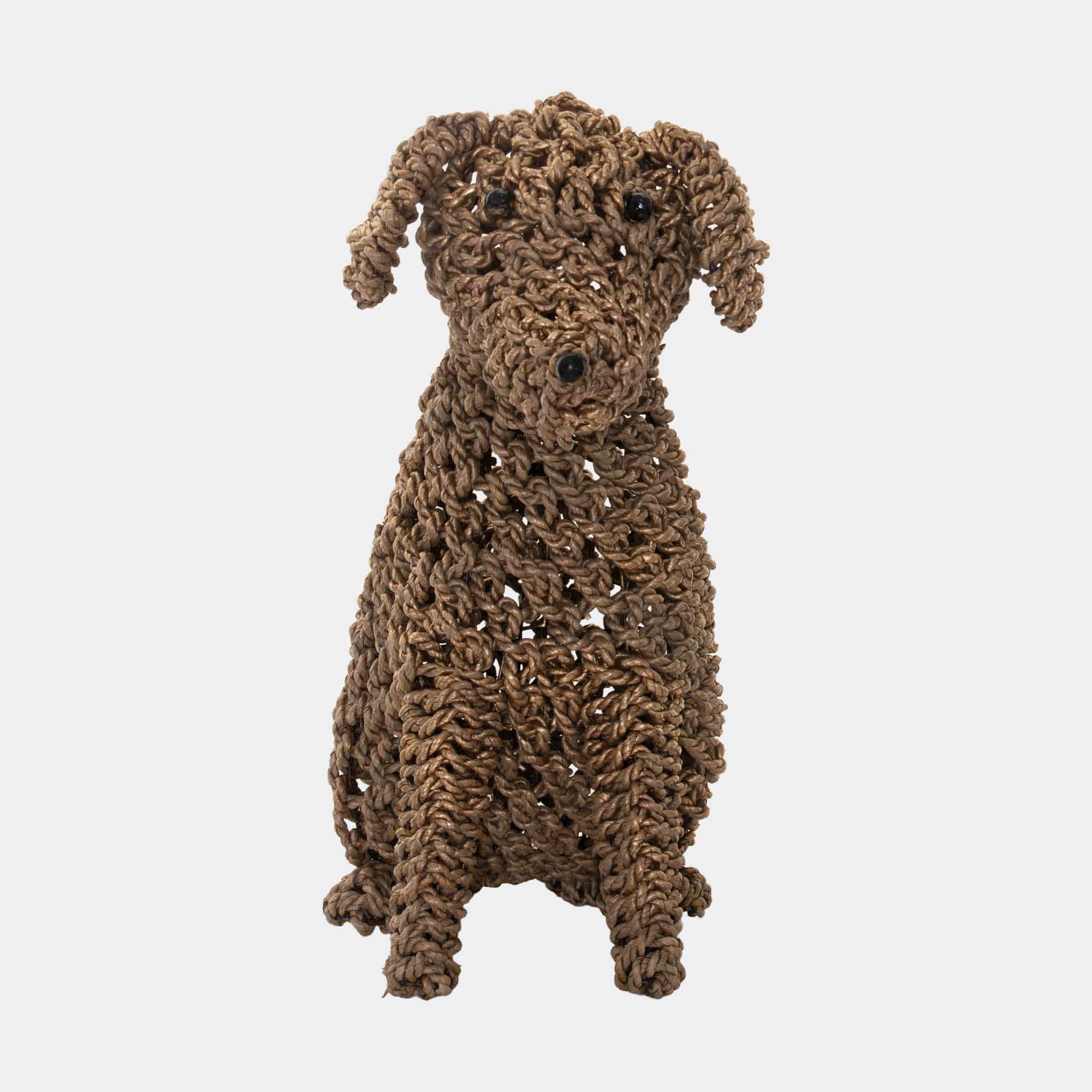 Biscuit - Seagrass Dog