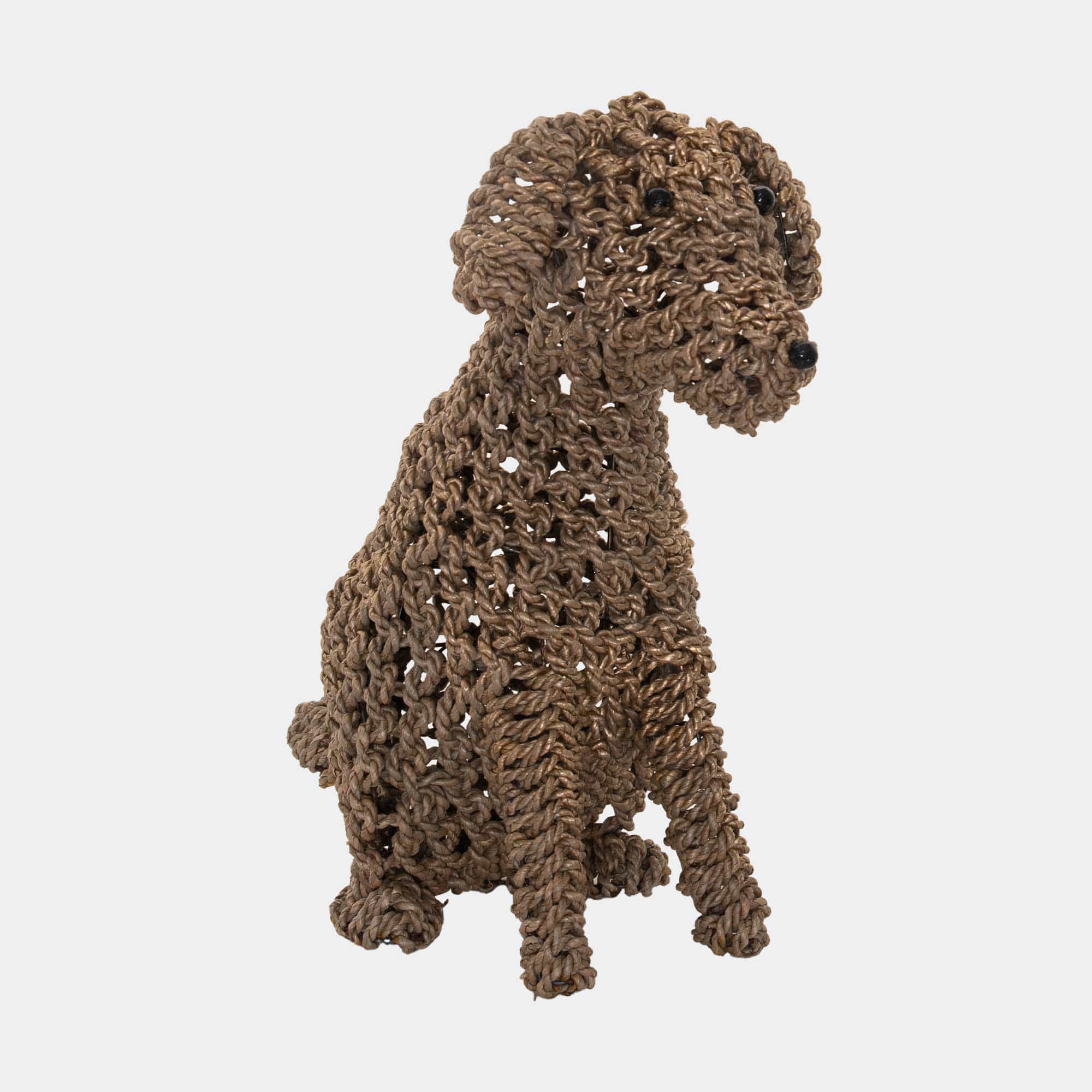 Biscuit - Seagrass Dog