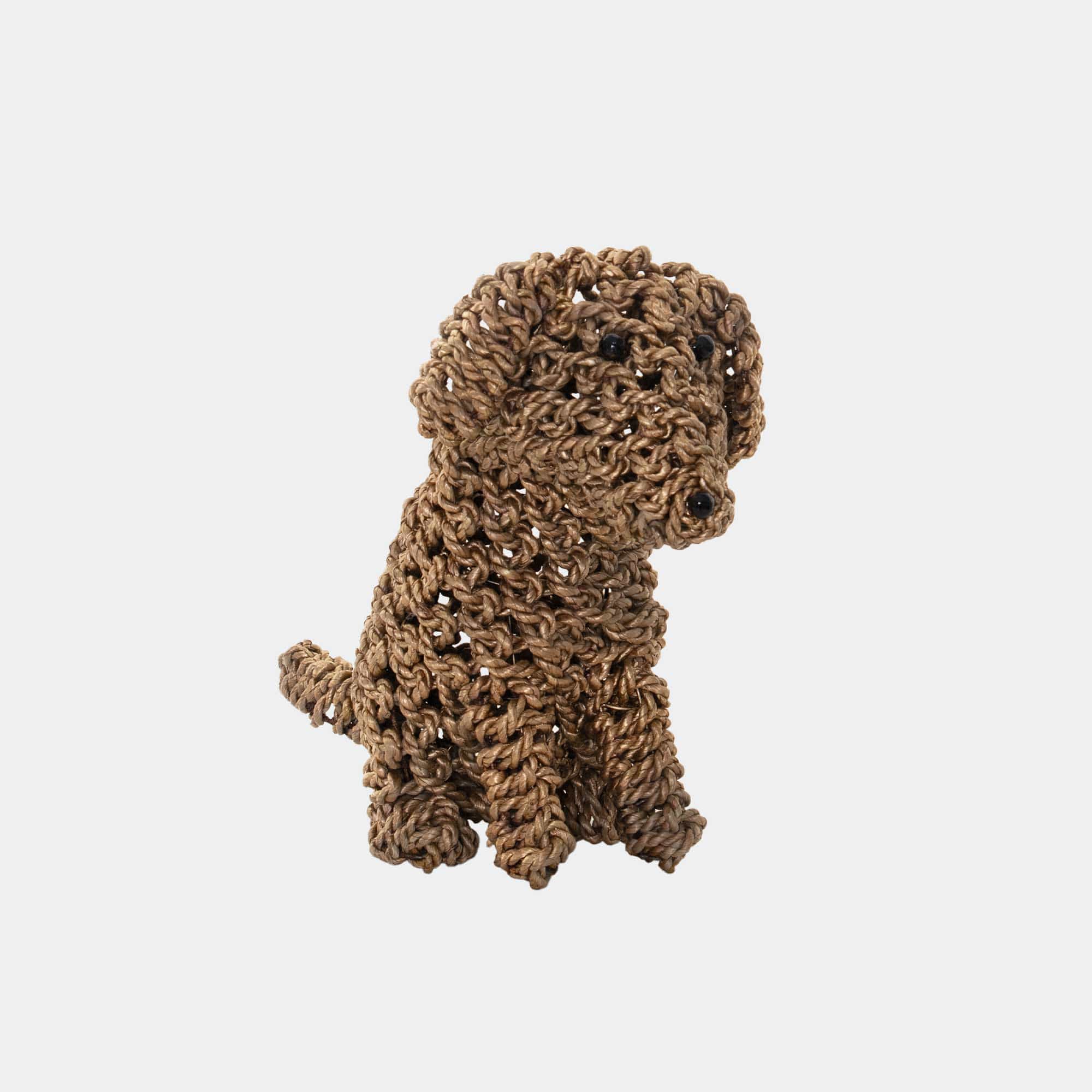 Biscuit - Seagrass Puppy