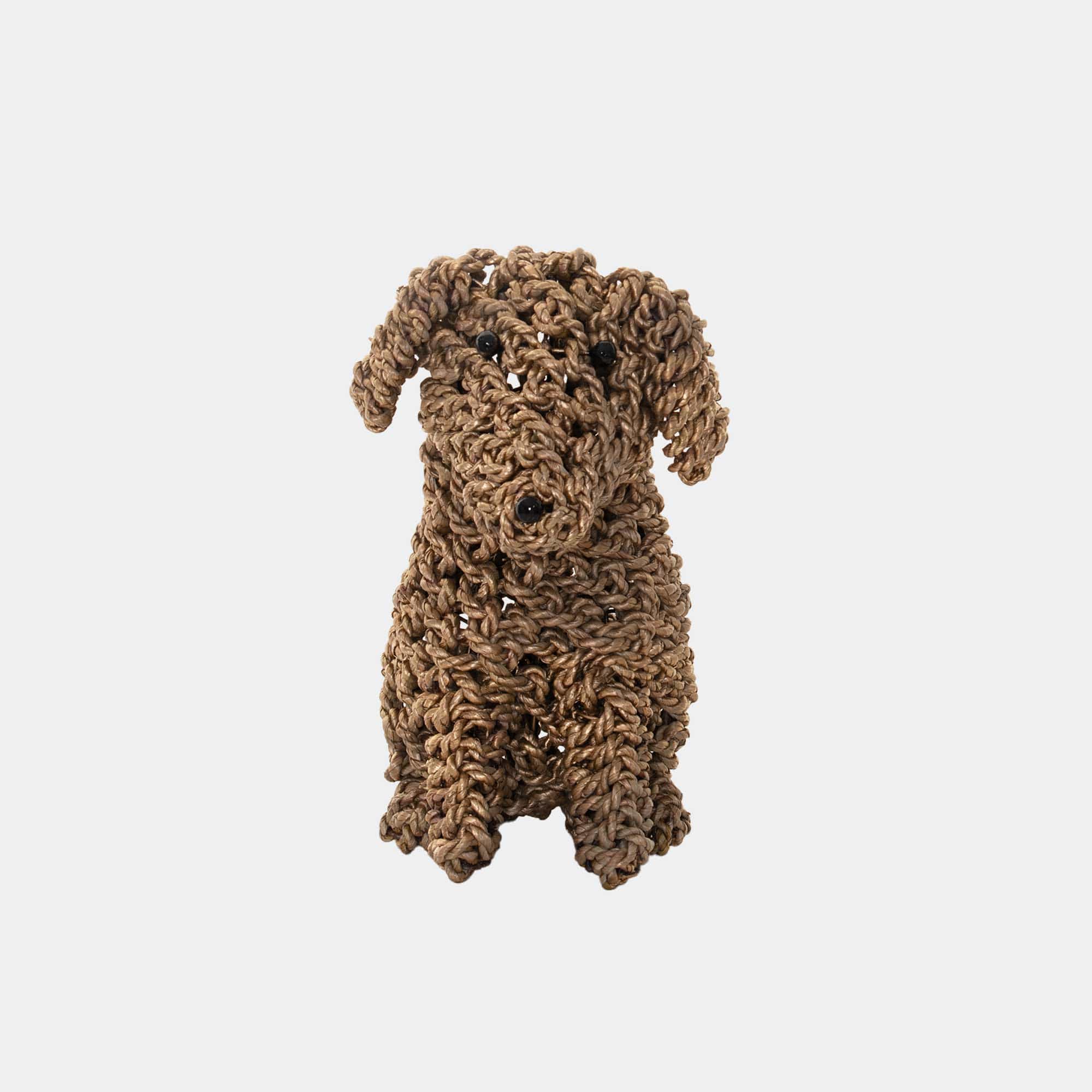 Biscuit - Seagrass Puppy