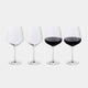 Dartington Cheers! Optic - Red Wine Goblet Box of 4