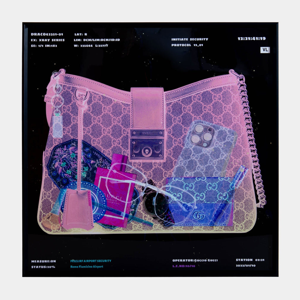 X Ray Handbag, Pink - Framed Print