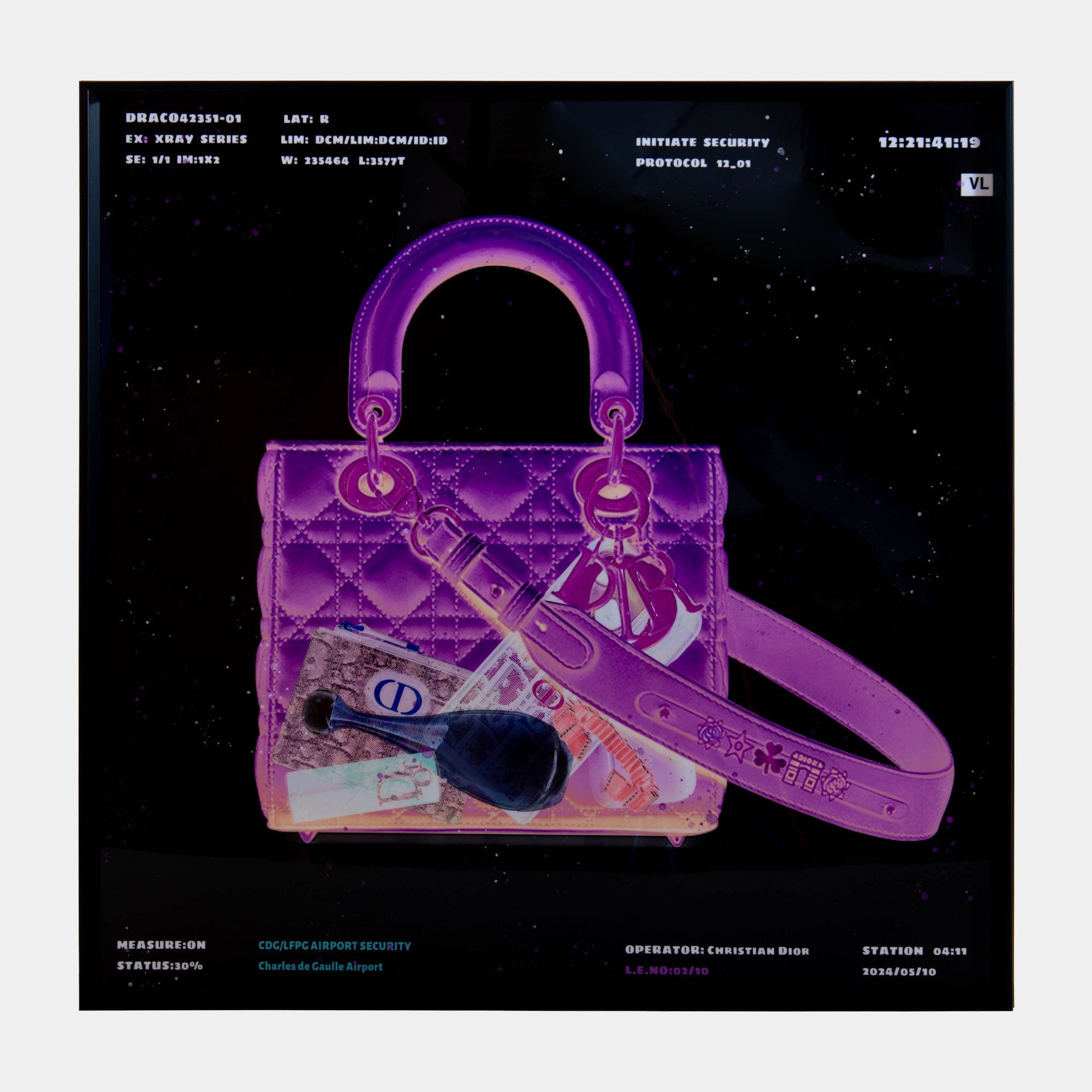 X Ray Handbag, Purple - Framed Print