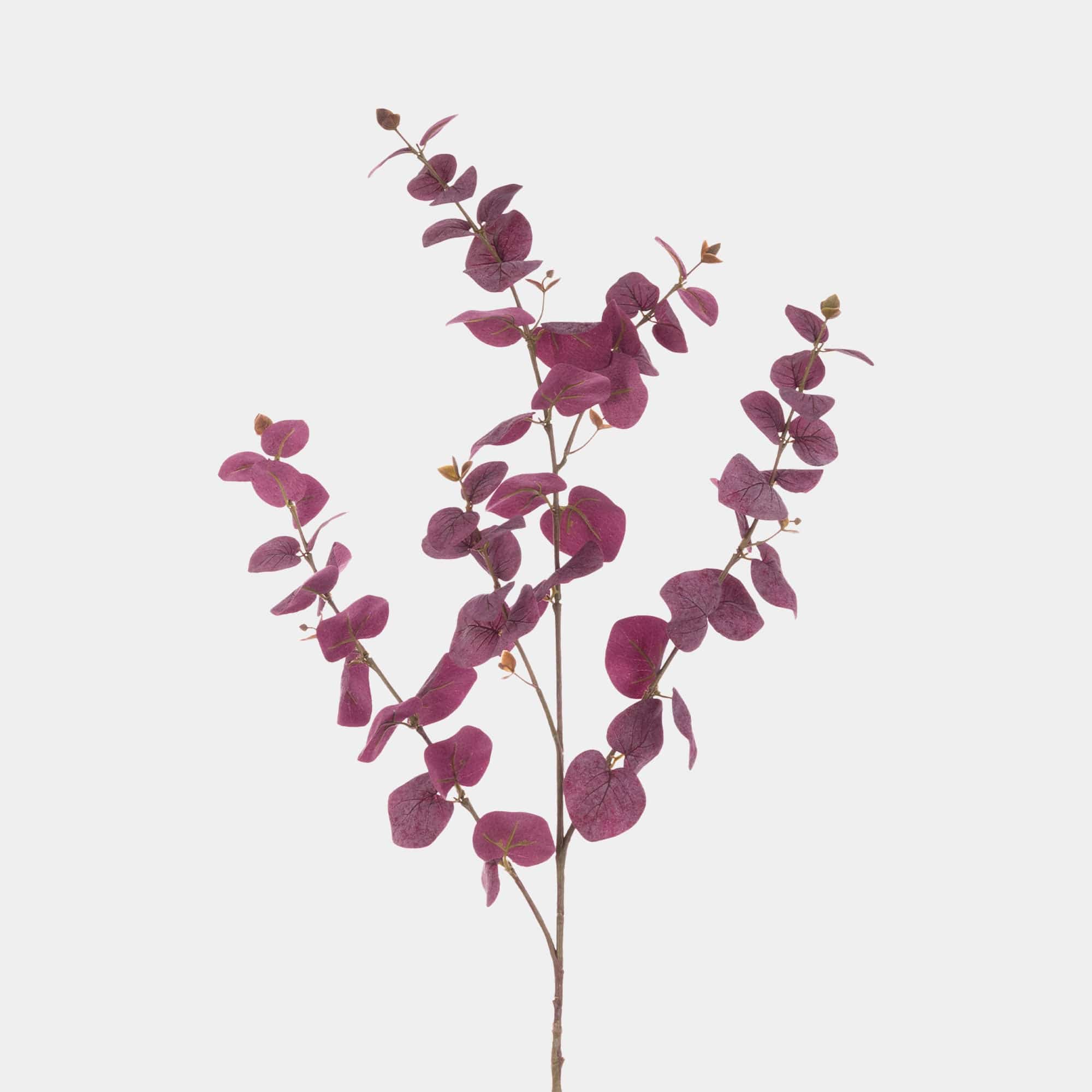 Eucalyptus - Burgundy Spray