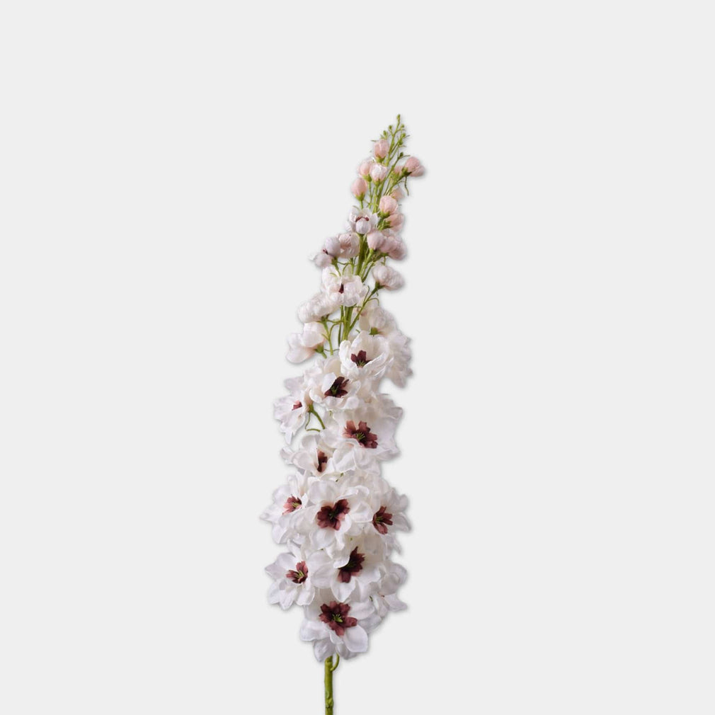 Lupine - Cream Stem